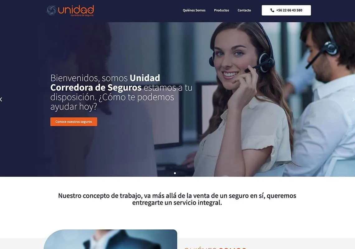 Proyecto Unidad Seguros