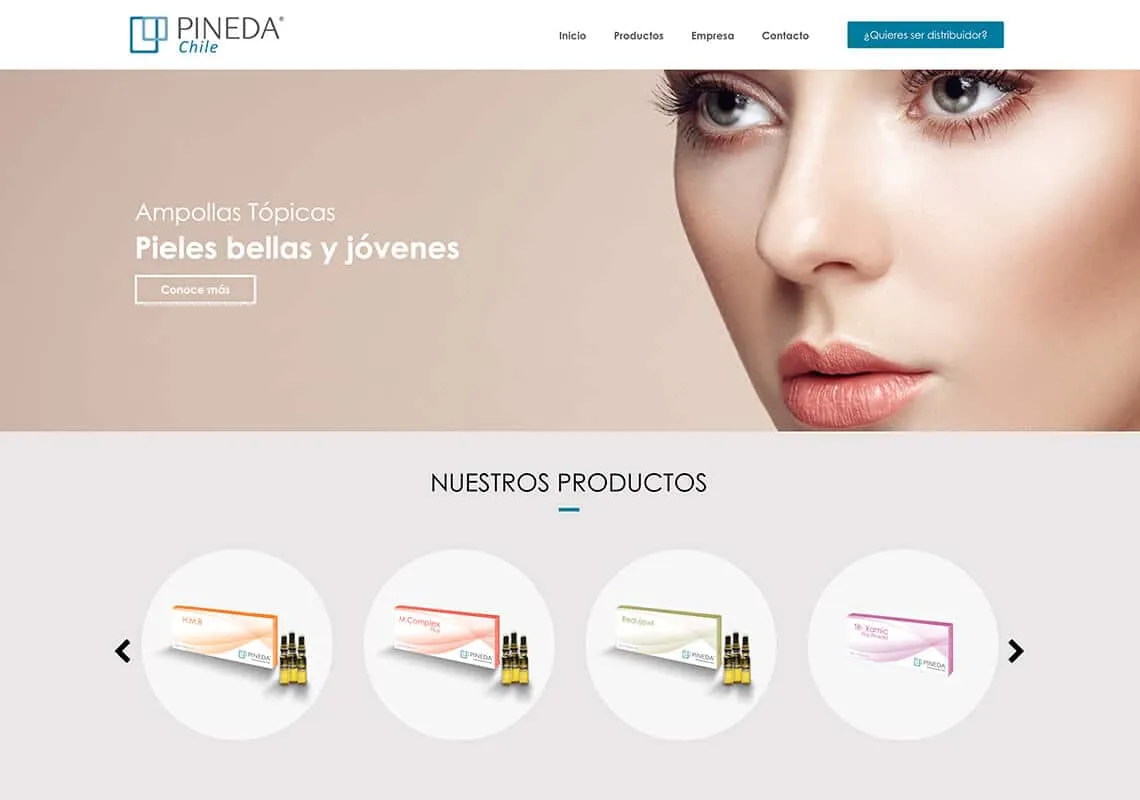 Proyecto Laboratorios Pineda