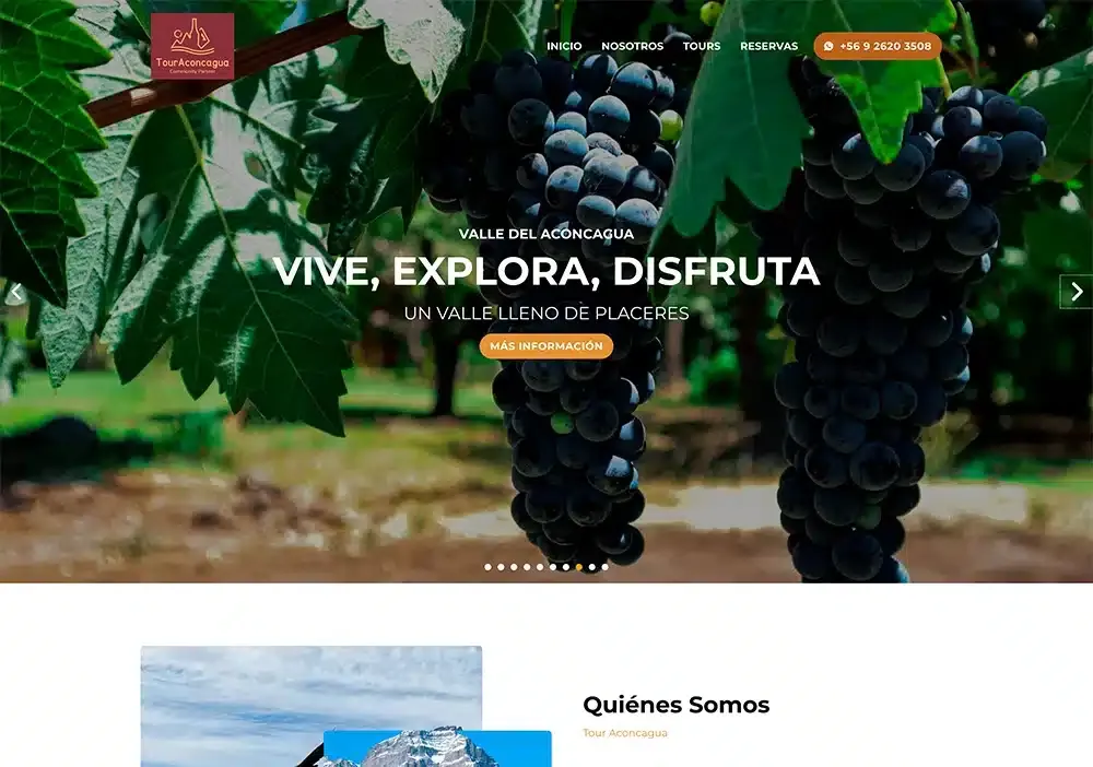 Proyecto Tour Aconcagua