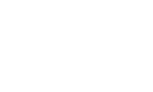Bridge Capital